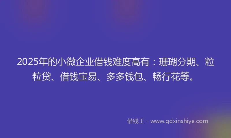 2025年的小微企业借钱难度高有：珊瑚分期、粒粒贷、借钱宝易、多多钱包、畅行花等。
