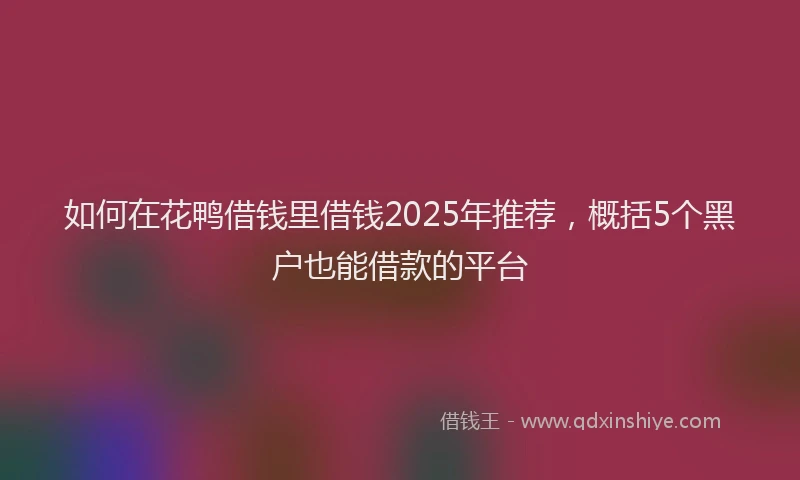 如何在花鸭借钱里借钱2025年推荐，概括5个黑户也能借款的平台