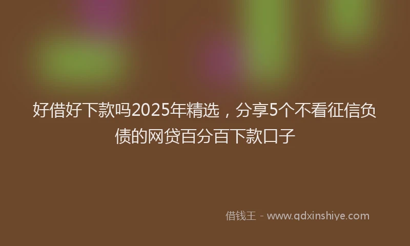 好借好下款吗2025年精选，分享5个不看征信负债的网贷百分百下款口子