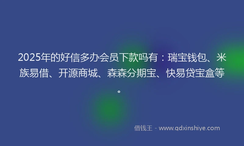 2025年的好信多办会员下款吗有：瑞宝钱包、米族易借、开源商城、森森分期宝、快易贷宝盒等。