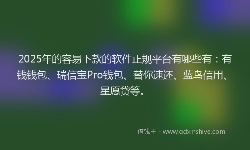 2025年的容易下款的软件正规平台有哪些有：有钱钱包、瑞信宝Pro钱包、替你速还、蓝鸟信用、星愿贷等。