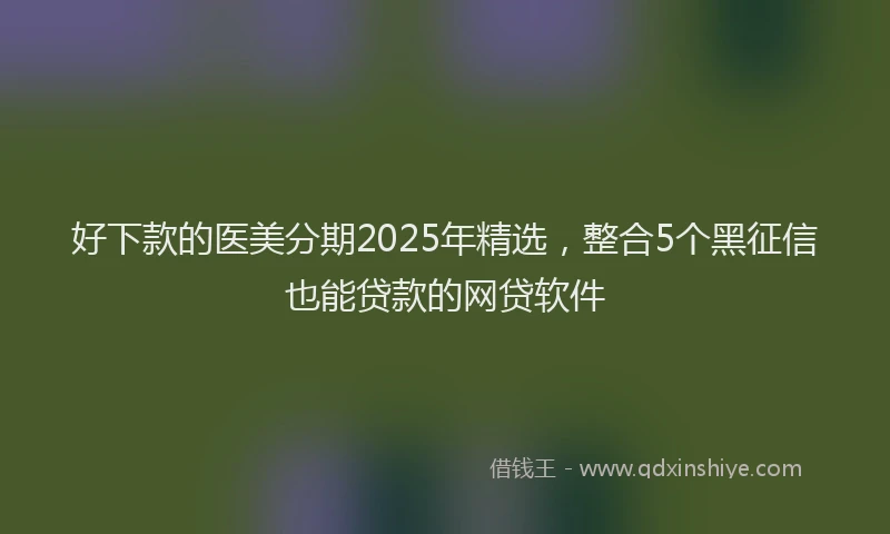 好下款的医美分期2025年精选，整合5个黑征信也能贷款的网贷软件