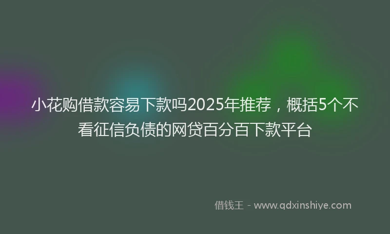 小花购借款容易下款吗2025年推荐，概括5个不看征信负债的网贷百分百下款平台