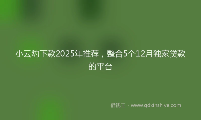 小云豹下款2025年推荐，整合5个12月独家贷款的平台