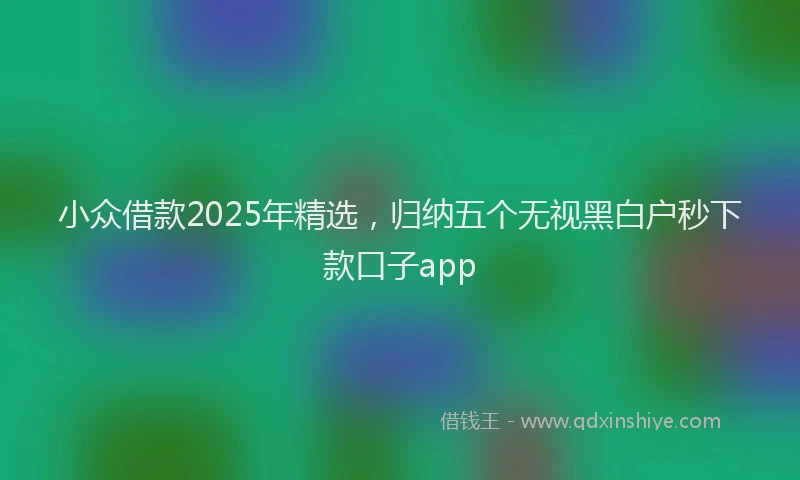 小众借款2025年精选，归纳五个无视黑白户秒下款口子app