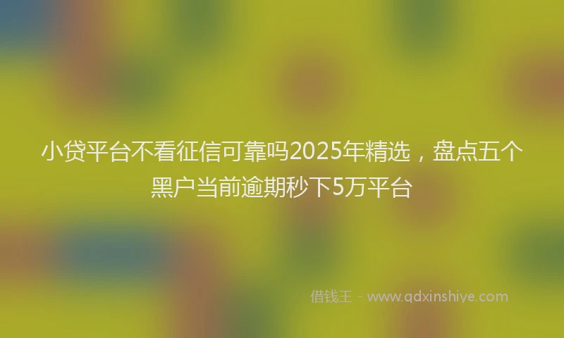 小贷平台不看征信可靠吗2025年精选，盘点五个黑户当前逾期秒下5万平台
