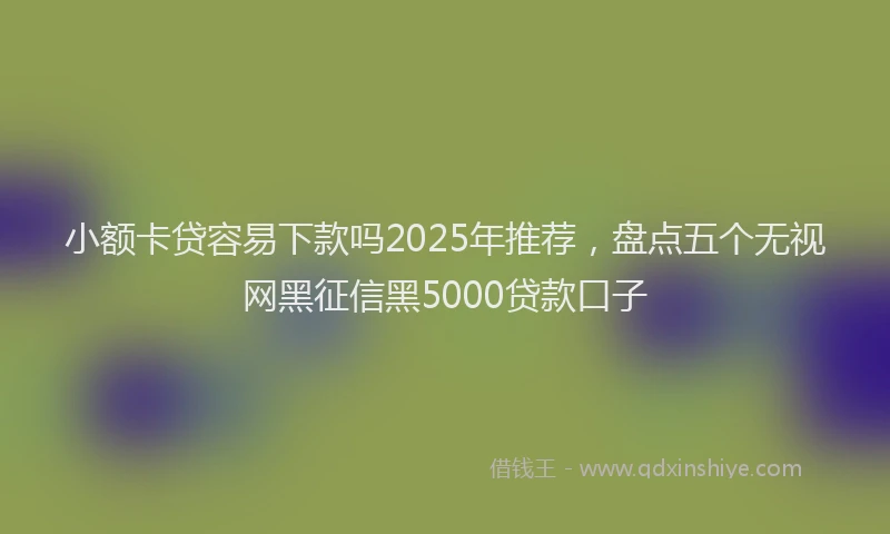 小额卡贷容易下款吗2025年推荐，盘点五个无视网黑征信黑5000贷款口子