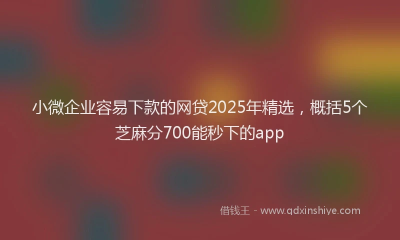 小微企业容易下款的网贷2025年精选，概括5个芝麻分700能秒下的app