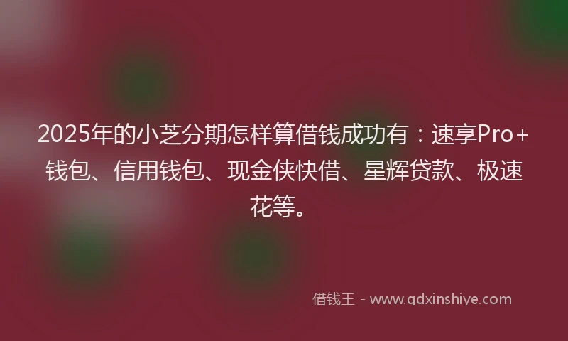 2025年的小芝分期怎样算借钱成功有：速享Pro+钱包、信用钱包、现金侠快借、星辉贷款、极速花等。