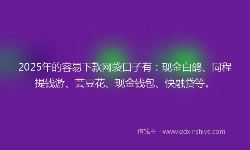 2025年的容易下款网袋口子有：现金白鸽、同程提钱游、芸豆花、现金钱包、快融贷等。