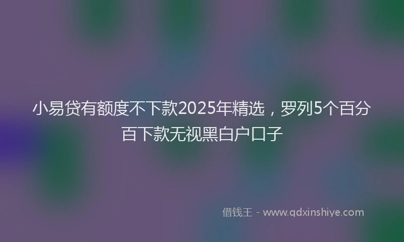 小易贷有额度不下款2025年精选,罗列5个百分百下款无视黑白户口子