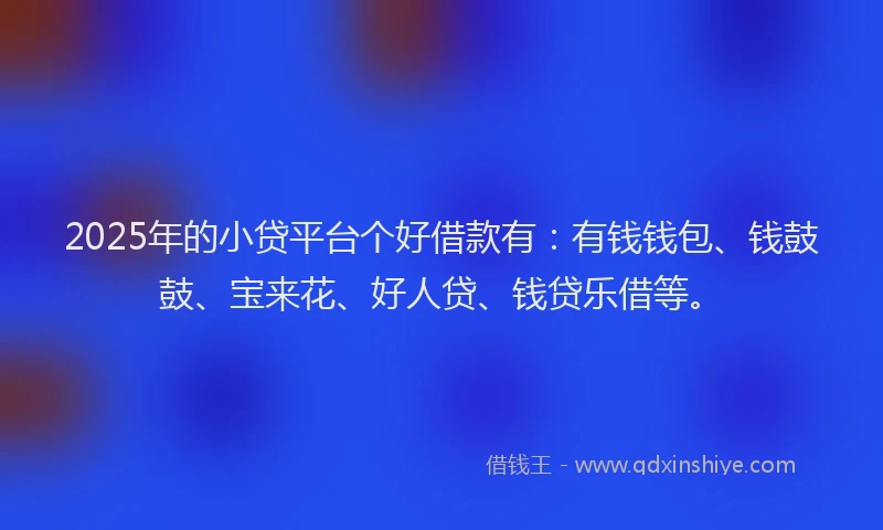 2025年的小贷平台个好借款有：有钱钱包、钱鼓鼓、宝来花、好人贷、钱贷乐借等。