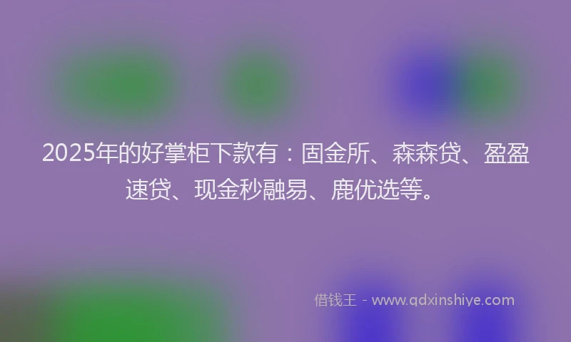 2025年的好掌柜下款有：固金所、森森贷、盈盈速贷、现金秒融易、鹿优选等。