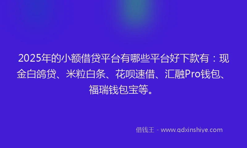 2025年的小额借贷平台有哪些平台好下款有：现金白鸽贷、米粒白条、花呗速借、汇融Pro钱包、福瑞钱包宝等。