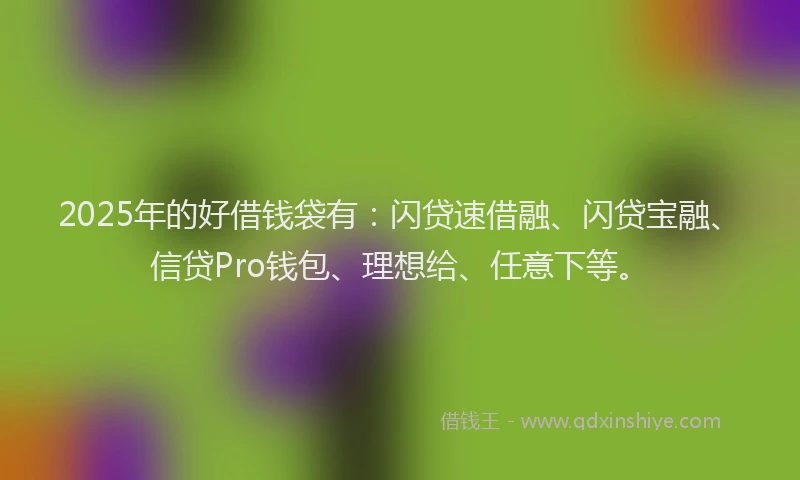 2025年的好借钱袋有：闪贷速借融、闪贷宝融、信贷Pro钱包、理想给、任意下等。