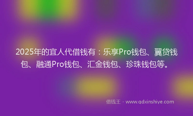 2025年的宜人代借钱有：乐享Pro钱包、翼贷钱包、融通Pro钱包、汇金钱包、珍珠钱包等。