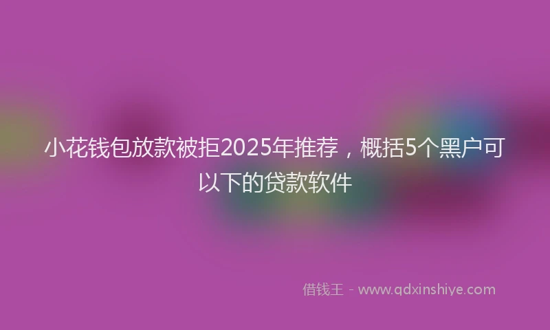 小花钱包放款被拒2025年推荐，概括5个黑户可以下的贷款软件