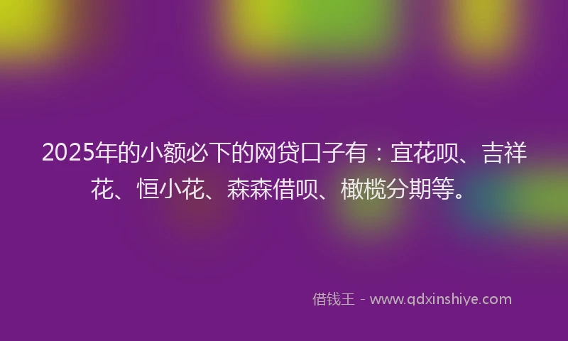 2025年的小额必下的网贷口子有：宜花呗、吉祥花、恒小花、森森借呗、橄榄分期等。