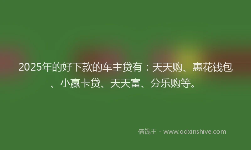2025年的好下款的车主贷有：天天购、惠花钱包、小赢卡贷、天天富、分乐购等。