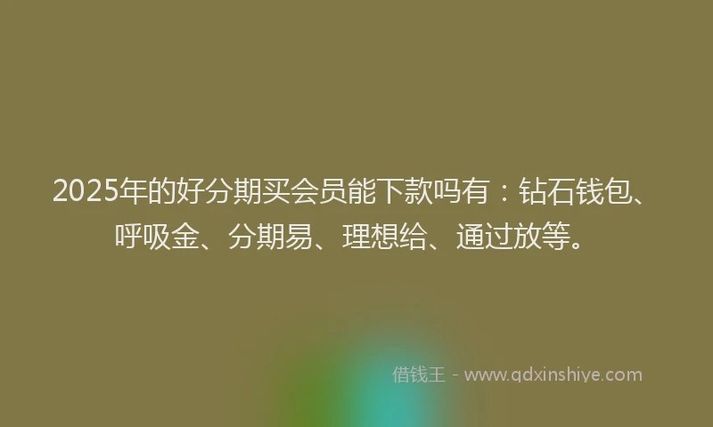 2025年的好分期买会员能下款吗有：钻石钱包、呼吸金、分期易、理想给、通过放等。
