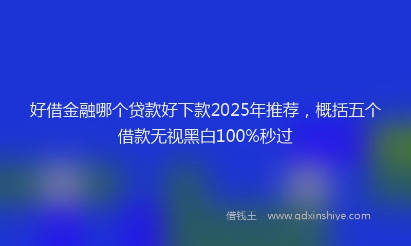 好借金融哪个贷款好下款2025年推荐，概括五个借款无视黑白100%秒过