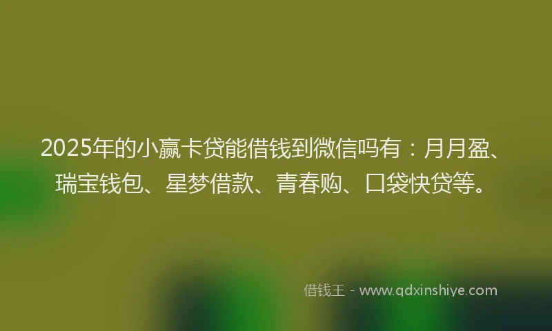 2025年的小赢卡贷能借钱到微信吗有：月月盈、瑞宝钱包、星梦借款、青春购、口袋快贷等。