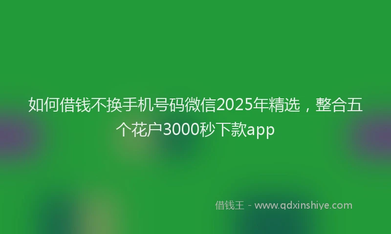如何借钱不换手机号码微信2025年精选，整合五个花户3000秒下款app