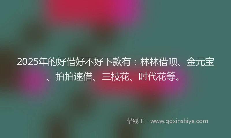 2025年的好借好不好下款有：林林借呗、金元宝、拍拍速借、三枝花、时代花等。