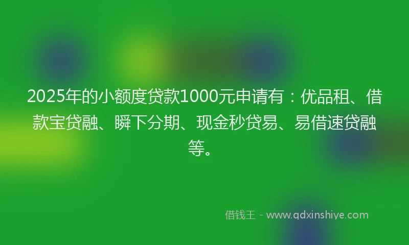 2025年的小额度贷款1000元申请有：优品租、借款宝贷融、瞬下分期、现金秒贷易、易借速贷融等。