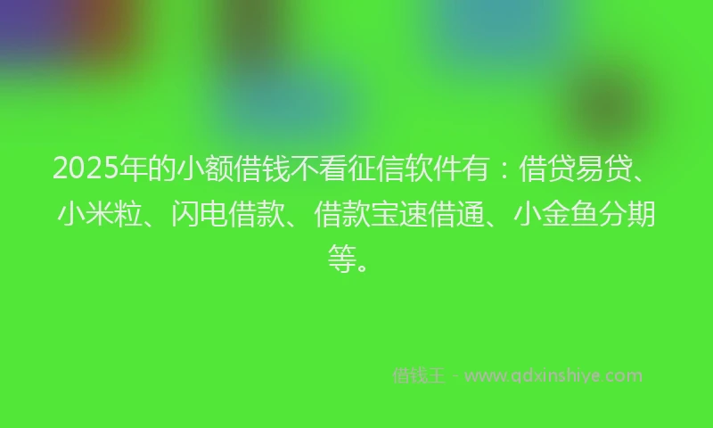 2025年的小额借钱不看征信软件有：借贷易贷、小米粒、闪电借款、借款宝速借通、小金鱼分期等。