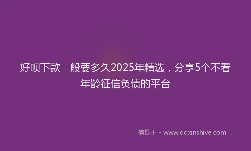 好呗下款一般要多久2025年精选，分享5个不看年龄征信负债的平台
