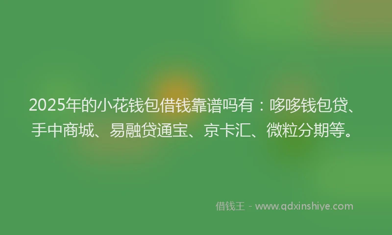 2025年的小花钱包借钱靠谱吗有：哆哆钱包贷、手中商城、易融贷通宝、京卡汇、微粒分期等。