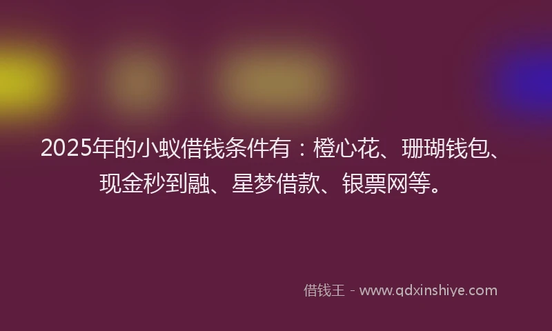 2025年的小蚁借钱条件有：橙心花、珊瑚钱包、现金秒到融、星梦借款、银票网等。