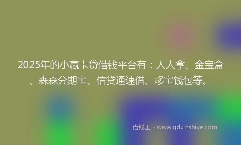 2025年的小赢卡贷借钱平台有：人人拿、金宝盒、森森分期宝、信贷通速借、哆宝钱包等。