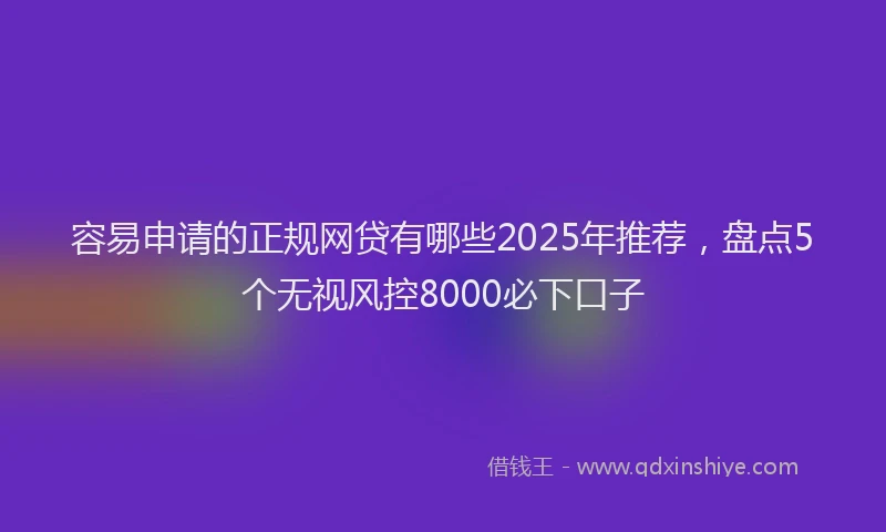 容易申请的正规网贷有哪些2025年推荐，盘点5个无视风控8000必下口子