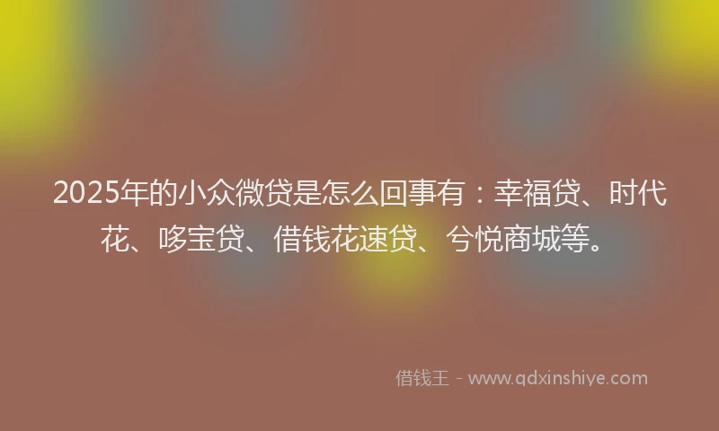 2025年的小众微贷是怎么回事有：幸福贷、时代花、哆宝贷、借钱花速贷、兮悦商城等。