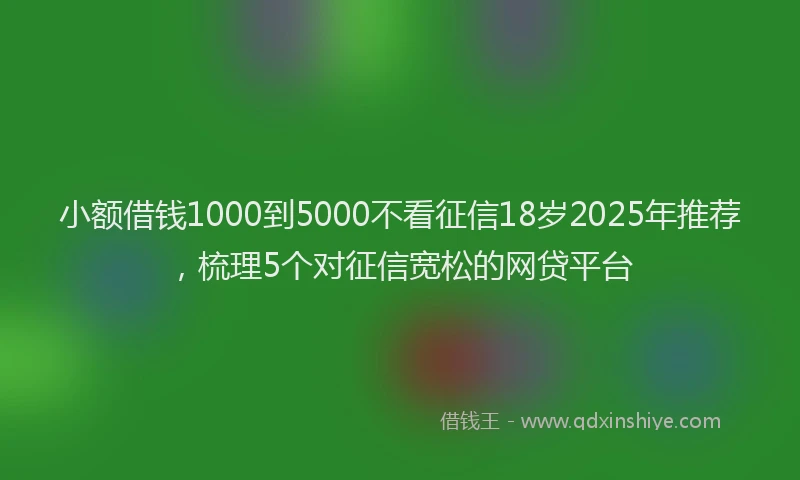 小额借钱1000到5000不看征信18岁2025年推荐，梳理5个对征信宽松的网贷平台