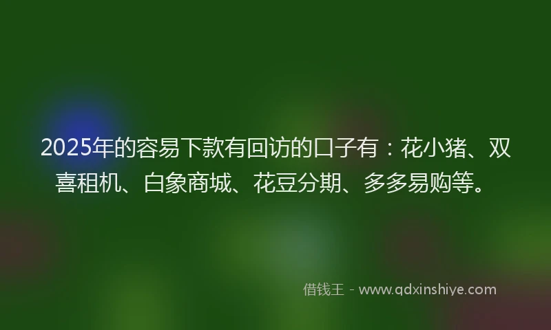 2025年的容易下款有回访的口子有：花小猪、双喜租机、白象商城、花豆分期、多多易购等。