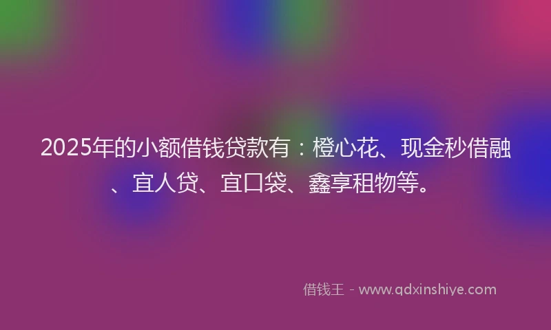2025年的小额借钱贷款有：橙心花、现金秒借融、宜人贷、宜口袋、鑫享租物等。
