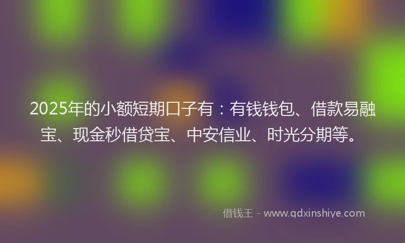 2025年的小额短期口子有：有钱钱包、借款易融宝、现金秒借贷宝、中安信业、时光分期等。