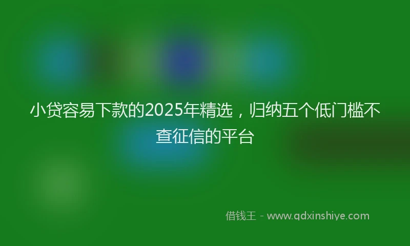 小贷容易下款的2025年精选，归纳五个低门槛不查征信的平台