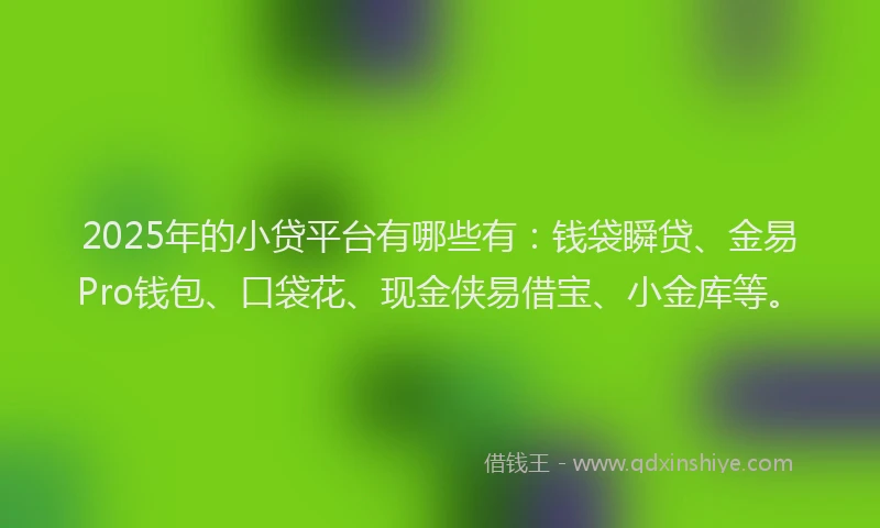 2025年的小贷平台有哪些有：钱袋瞬贷、金易Pro钱包、口袋花、现金侠易借宝、小金库等。