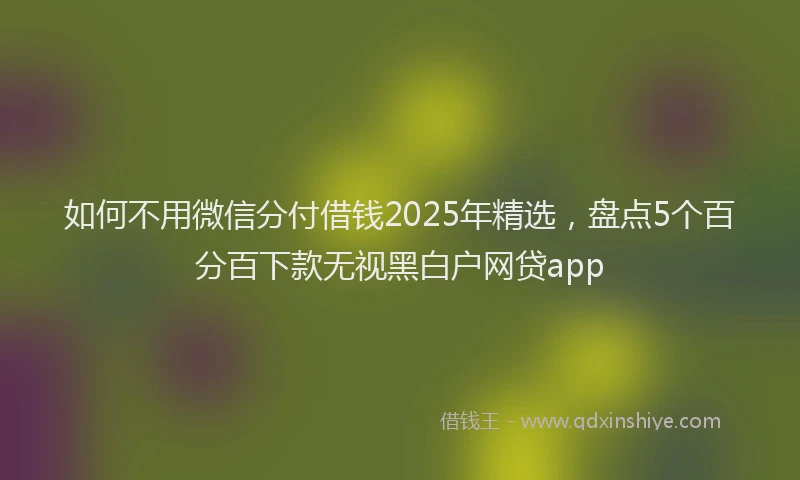 如何不用微信分付借钱2025年精选，盘点5个百分百下款无视黑白户网贷app