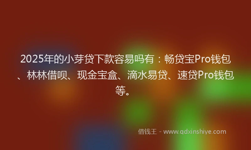 2025年的小芽贷下款容易吗有：畅贷宝Pro钱包、林林借呗、现金宝盒、滴水易贷、速贷Pro钱包等。