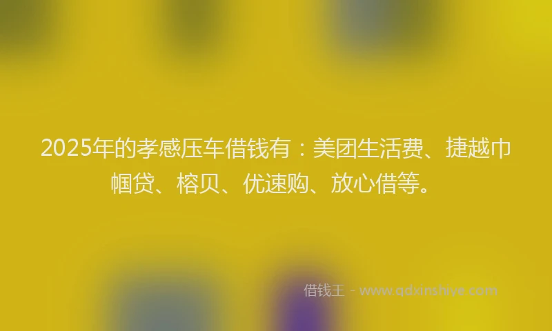 2025年的孝感压车借钱有：美团生活费、捷越巾帼贷、榕贝、优速购、放心借等。