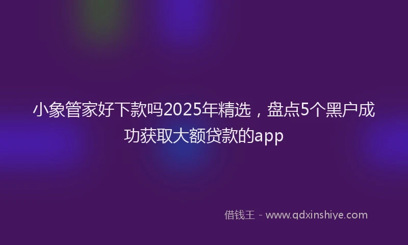小象管家好下款吗2025年精选，盘点5个黑户成功获取大额贷款的app