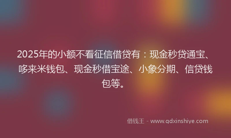 2025年的小额不看征信借贷有：现金秒贷通宝、哆来米钱包、现金秒借宝途、小象分期、信贷钱包等。