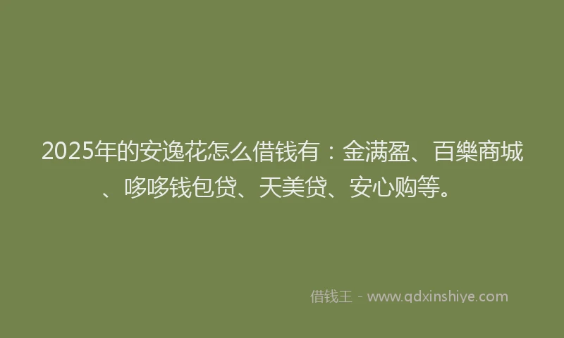 2025年的安逸花怎么借钱有：金满盈、百樂商城、哆哆钱包贷、天美贷、安心购等。