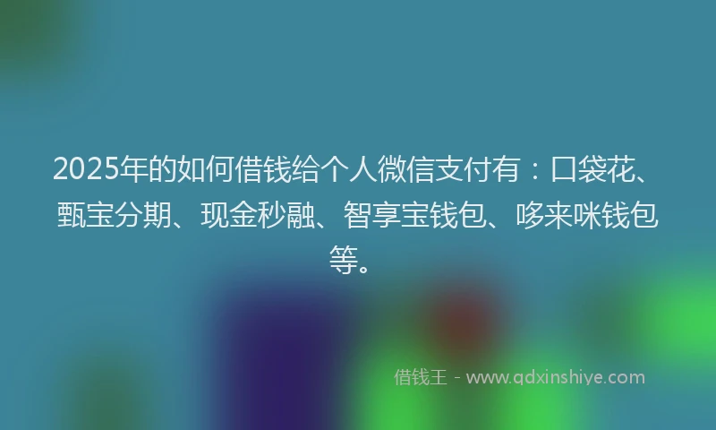 2025年的如何借钱给个人微信支付有：口袋花、甄宝分期、现金秒融、智享宝钱包、哆来咪钱包等。