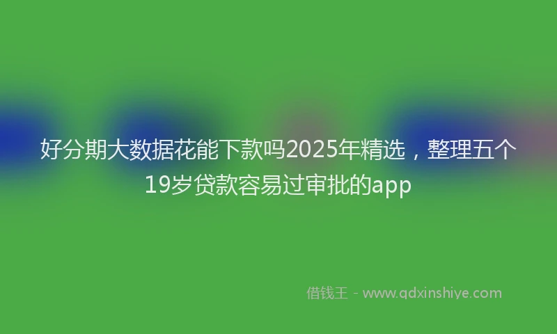 好分期大数据花能下款吗2025年精选，整理五个19岁贷款容易过审批的app